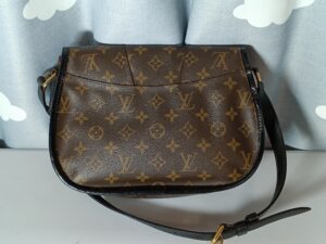 縁革カラーチェンジ後のルイ・ヴィトンモノグラムのバッグ　メニルモンタンの背面